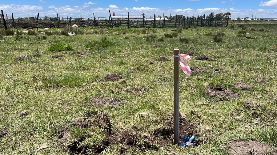  Bedroom Property for Sale in Greenbushes Eastern Cape